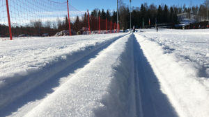Paloheinässä ladut suorstaan huutavat hiihtäjiä lenkille. Koneella ajettu latu-ura Helsingin Paloheinässä. Talvi, pakkaspäivä ja aurinko paistaa.