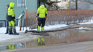 I Vårberga i Borgå fick två fastigheter vatten i källaren. Tre män står vid ett vattenrör och en stor pöl