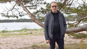 Här någonstans såg Börje Takolander några violer. De har tittat fram för första gången på många år. En lite äldre man med solglasögon och tunn jacka står framför en tall vid en strand. Hangö. Hav i bakgrunden.