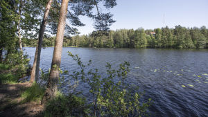 Det finns kring femtio hus vid Kalajärvi i dagsläget. Staden planerar att bygga hundra hus till. En sjö, det är en vacker sommardag, vattnet är blått. På stranden syns träd som lutar sig över vattnet