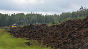 På bilden pågår arbetet med att återställa våtmark på Västanmark gård i Ingå. En grävmaskin i en blivande våtmark. Stora torvhögar.