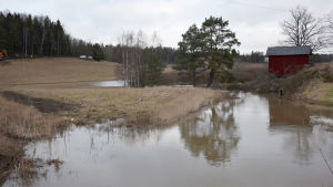 Trots att Raseborgs å rensas kommer man knappast att kunna åka båt längs ån. Vy över översvämmad åker