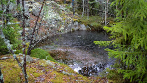 Man letade efter uran också på andra ställen på ön, men det här är stället man fokuserade på. En vattenfylld grop invid ett berg i en skog.
