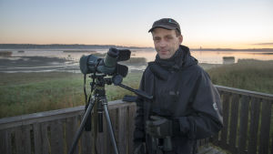 Markku Mikkola-Roos säger att Finland är ytterst viktigt för fåglarna eftersom så många arter fortplantar sig här. Markku Mikkola-Roos står i ett fågeltorn i gryningen.