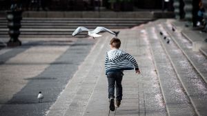 Kungsträdgården brukar vara full med folk i vårsolen, men så har det inte varit den här våren. Pojke springer efter mås vid fontänen i Kungsträdgården som annars är tom på folk.