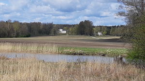 Pickala gård ska ha utsikt över Pickalaån vidare över Pickalaviken, anser Museiverket. Pickala gård syns från Pickala å.