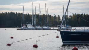 Härifrån bär det av på seglingsäventyr i sommar. I bakgrunden skymtar en brygga med flera förtöjda båtar, i förgrunden bojar som guppar i vattnet och en förtöjd segelbåt