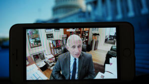 USA:s ledande smittskyddsexpert Anthony Fauci under en av senatens videokonferenser den 12 maj USA:s ledande smittskyddsexpert Anthony Fauci under en av senatens videokonferenser den 12.5.