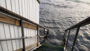 Håll dig nära trappan om du är nybörjare, uppmanar Ilse Klockars. En trappa ner i vattnet vid vinterbadet i Hangö.