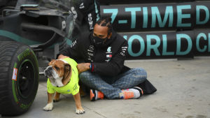 Lewis Hamiltons hund fick också bevittna brittens stora dag. Lewis Hamiltons hund fick också bevittna brittens stora dag.