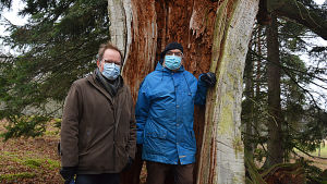 Niklas och Mikael Reuter tycker det är fint att deras mark är ett naturskyddsområde. Två män vid en ihålig gammal ek.
