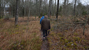 Den här delen av naturstigen lämnas nästan helt orörd. Två personer vandrar längs med en naturstig.