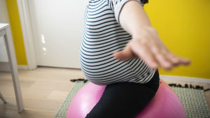 Lite fler Sibbobor än vanligt är gravida just nu. Arkivbild. En gravid kvinna sitter på en gympaboll.