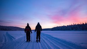 Två personer skidar i solnedgång.