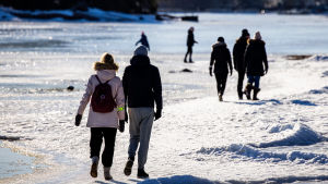 Friluftsliv har blivit mer populärt. Människor som är ute och promenerar på isen vid en strand.