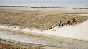 Utökad strandvall i Camperduin, Holland. 35 miljoner kubikmeter sand lades ut i mars för att förstärka kustlinjen i landet som är känsligt för översvämningar. Utökad strandvall i Camperduin, Holland. 35 miljoner kubikmeter sand lades ut i mars för att förstärka kustlinjen i landet som är känsligt för översvämningar.