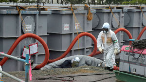 Tre reaktorer förstördes i Fukushima-olyckan i mars 2011. På bilden syns några av behållarna som innehåller radioaktivt vatten som pumpats ur reaktorerna. Bilden är tagen två år efter olyckan. En person med en vit skyddsdräkt, andningsskydd och en vit hjälm på huvudet går förbi en lång rad containrar med radioaktivt vatten.