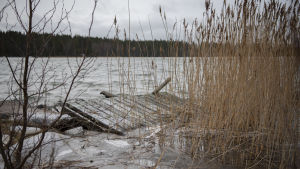 Under det närmaste dygnet väntas en våghöjd på fyra meter på Kvarken. Högt vattenstånd i den österbottniska skärgården. I förgrunden syns en omkullkastad brygga.