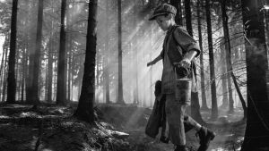 Bilderna i filmen The Painted Bird är vackra men brutala. Precis som orden i romanen W.. Den lilla pojken Joska balanserar på en stock i en skog med vattenhink i ena handen.