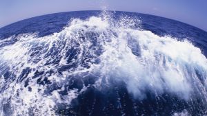 Oceanerna väcker begäret En bild av havet taget med vidvinkelobjektiv. I förgrunden en våg och i bakgrunden horisonten.