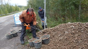 Den frivillig talkoarbetaren Roope Rehbinder fyller ämbar med grus som sedan bärs ner till bäcken. Roope Rehbinder skyfflar grus i ämbar vid sidan av en väg.