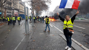 Gula västarnas protester började som demonstrationer mot de höga bensinpriserna och urartade i våld. De gula västarna protesterar i Frankrike.