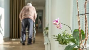 En äldre man har ryggen vänd mot kameran, går med rollator i korridor