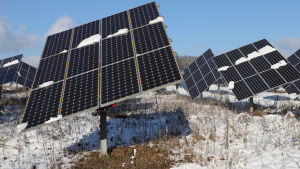 De förnybara energikällornas andel uppgick enligt Agora Energiewende ifjol till omkring 45 procent av elproduktionen. Solpaneler på ett av snö täckt fält i Tyskland