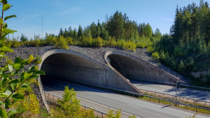 Arkivbild. Längs med riksväg 7 finns sju stycken viltbroar. De kallas också för ekodukter. Djurbro över motorväg.