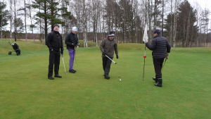 Tapio Järvinen, Svante Nyholm, Kari Collin och Jukka Niemelä är ivriga golfare Tapio Järvinen, Svante Nyholm, Kari Collin och Jukka Niemelä spelar golf på en grön gräsmatta i Hangö. Det exceptionella är att det här sker i början av januari 2018.