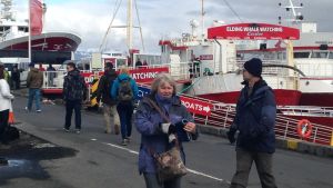 Den isländska turismen växer i rekordtakt. Turistnäringen går bra i Island