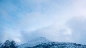En av försvarets helikoptrar på väg till Blåbärsfjället vid middagstid på fredagen. Blåbærsfjellet ligger bakom fotografens rygg. En helikopter syns i luften i Tamokdalen på väg på sökuppdrag efter de försvunna finländarna och en svenska.