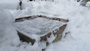 En odlingslåda som har grävts fram ur snön, förberedd för vintersådd.