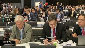 Brasilien var ett riktigt problembarn på mötet Klimatmötet i Madrid