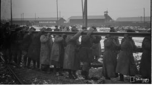 Fångar bär långa skenor på koncentrationslägret i Äänislinna (nu Petroskoj). Människor bär en lång skena på ett koncentrationsläger.