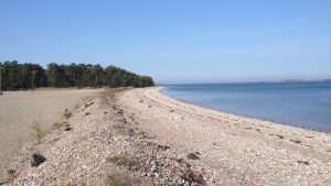 På norra sidan av Tulludden i Gåsörsbukten är stranden fylld av runda, finslipade stenar. Tulluddens norra strand i Hangö