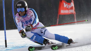 Den sista världscuptävlingen gjorde Marcus Sandell i Beaver Creek i december. Marcus Sandell åker storslalom i Beaver Creek.