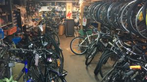 Tre månader står för hälften av Granbackas årsinkomst. Cykelverkstad på Drumsö