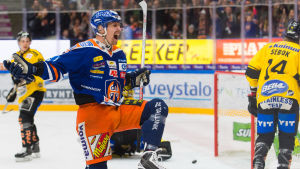 Veli-Matti Savinainen kvitterade kvickt ut öppningsmålet. Veli-Matti Savinainen firar mål, Tappara-KalPa, våren 2017.