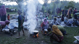 Över 370 000 rohingyer har flytt till Bangladesh sedan slutet av augusti. Över 370 000 rohingyer har flytt till Bangladesh sedan slutet av augusti