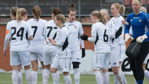 FC Honka vann klubbens fjärde FM-guld 2017. FC Honkas damer firar, 2017.