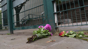 Blommor utanför synagogan i Hamburg. Blommor ligger på marken utanför en byggnad som är inhägnad av ett stålstaket.