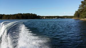 Vågor efter en motorbåt sköljer stränder i skärgården. I bakgrunden syns båthus.