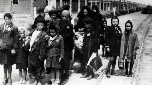 Fångar anländer till koncentrationslägret Auschwitz-Birkenau i juni 1944. Fångar anländer till koncentrationslägret Auschwitz-Birkenau i juni 1944.