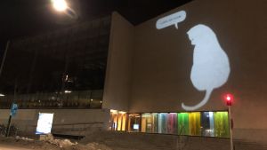 På väggen vid ingången till huvudingången projiceras serieteckningar ritade av medlemmar i Åbo serieklubb. En bild av en katt som ljuskonstverk på Åbo huvudbiblioteks vägg.