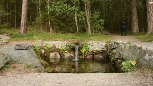 Dagmarskällan och Dagmar park är populära besöksmål. Dagmars källa rinner ner till stranden i Källviken