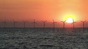 Vindkraft kompenserar för koldioxidutsläpp. Vindmöllor med solnedgång i bakgrunden.