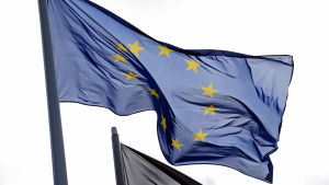I svåra tider måste Europa samla sig, säger Torvalds. Europeiska unionens flagga