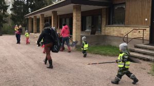 Här beger sig barnen ut för att städa. Dagisbarn som går bredvid sitt daghem med krattor i handen.