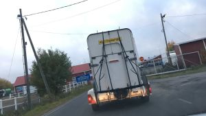 En bekant syn på landsvägarna i Finland under 363 dagar om året. Hästtransport på väg till Seinäjoki travbana.